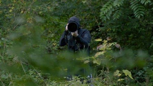 Dossier Jarak Season 1 Episode 4 - Episode 4