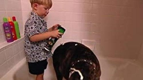 Nanny 911 Season 1 Episode 5 - Lorimor Family