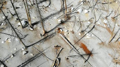 What on Earth? Season 7 Episode 2 - Bermuda Triangle of Space