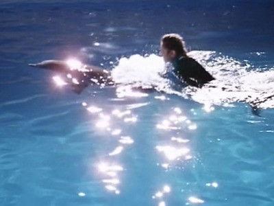 Highway to Heaven Season 4 Episode 22 - A Dolphin Song For Lee (2)