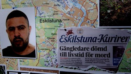 Svenska fall Season 14 Episode 9 - Episode 9