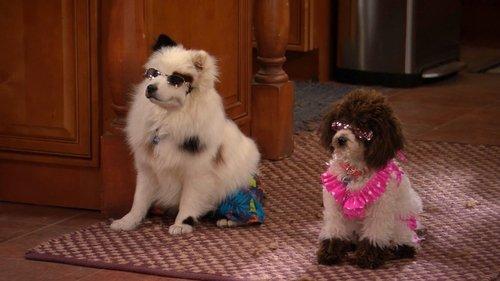 Dog with a Blog Season 3 Episode 20 - Murder of the Ornamental Dress