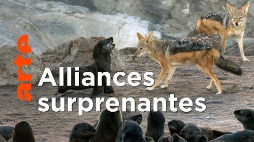 Genius Sea Hunters Season 1 Episode 3 - Climate