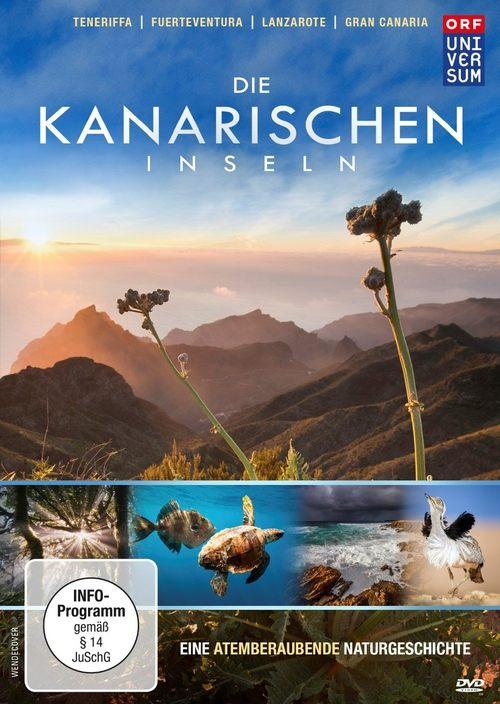 The Canary Islands poster