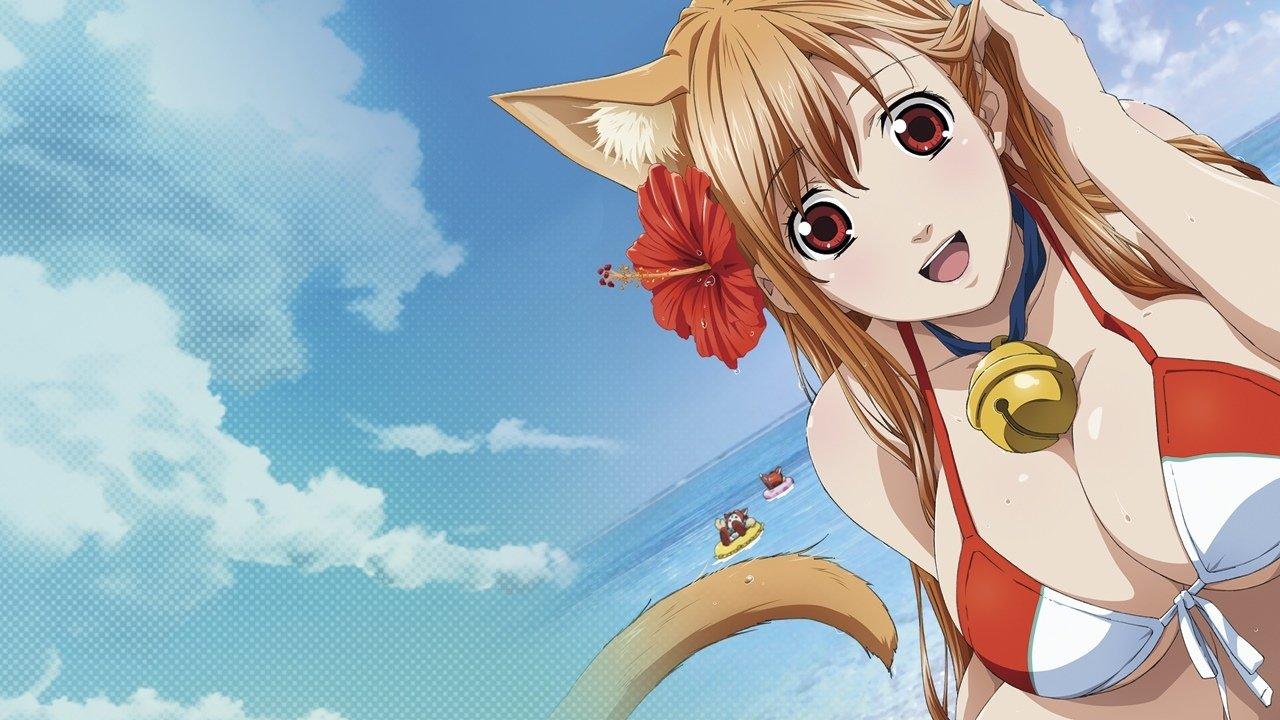 Cat Planet Cuties backdrop