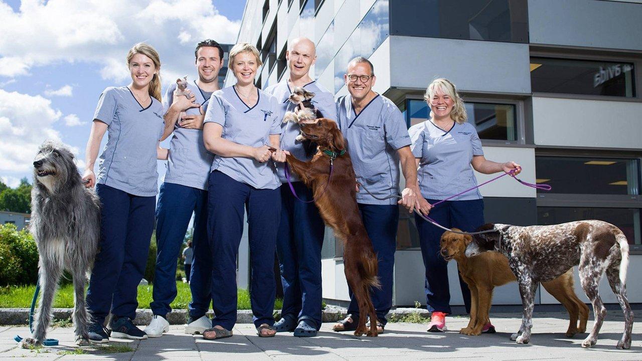 Veterinærene backdrop