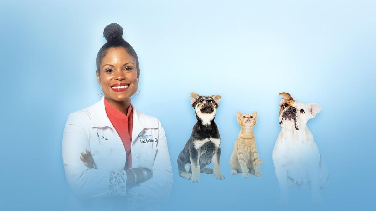 Pop Goes the Vet with Dr. Joya backdrop