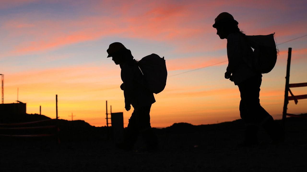 The Shadow of Gold backdrop