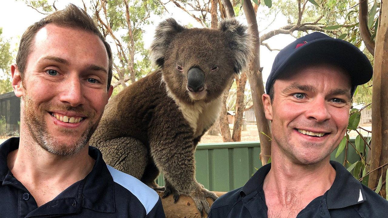 Scottish Vets Down Under backdrop
