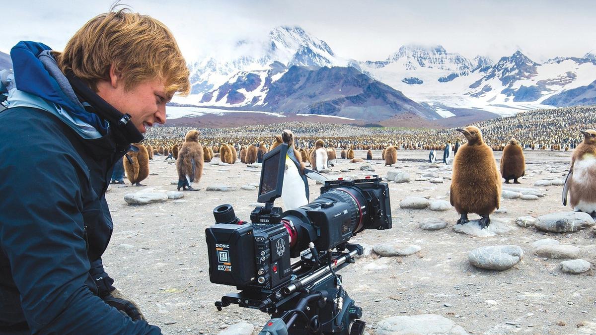 Wild Life with Bertie Gregory backdrop
