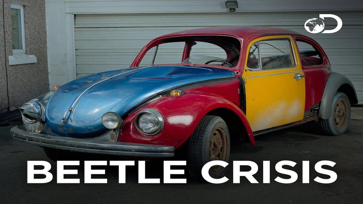 Beetle Crisis backdrop