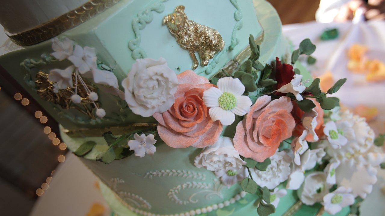 Cake Hunters backdrop