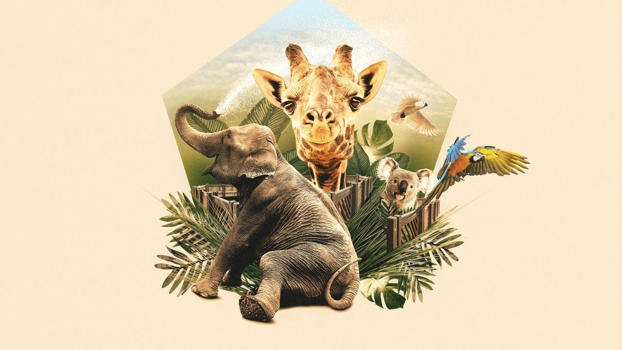 Mega Zoo backdrop