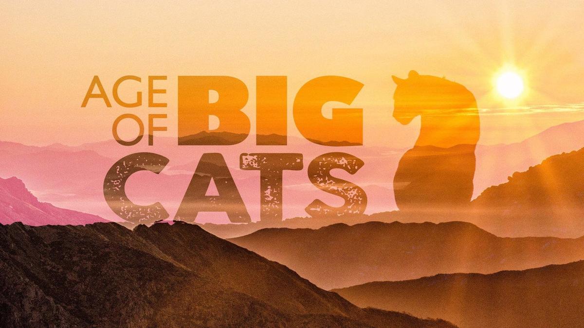 Age of Big Cats backdrop