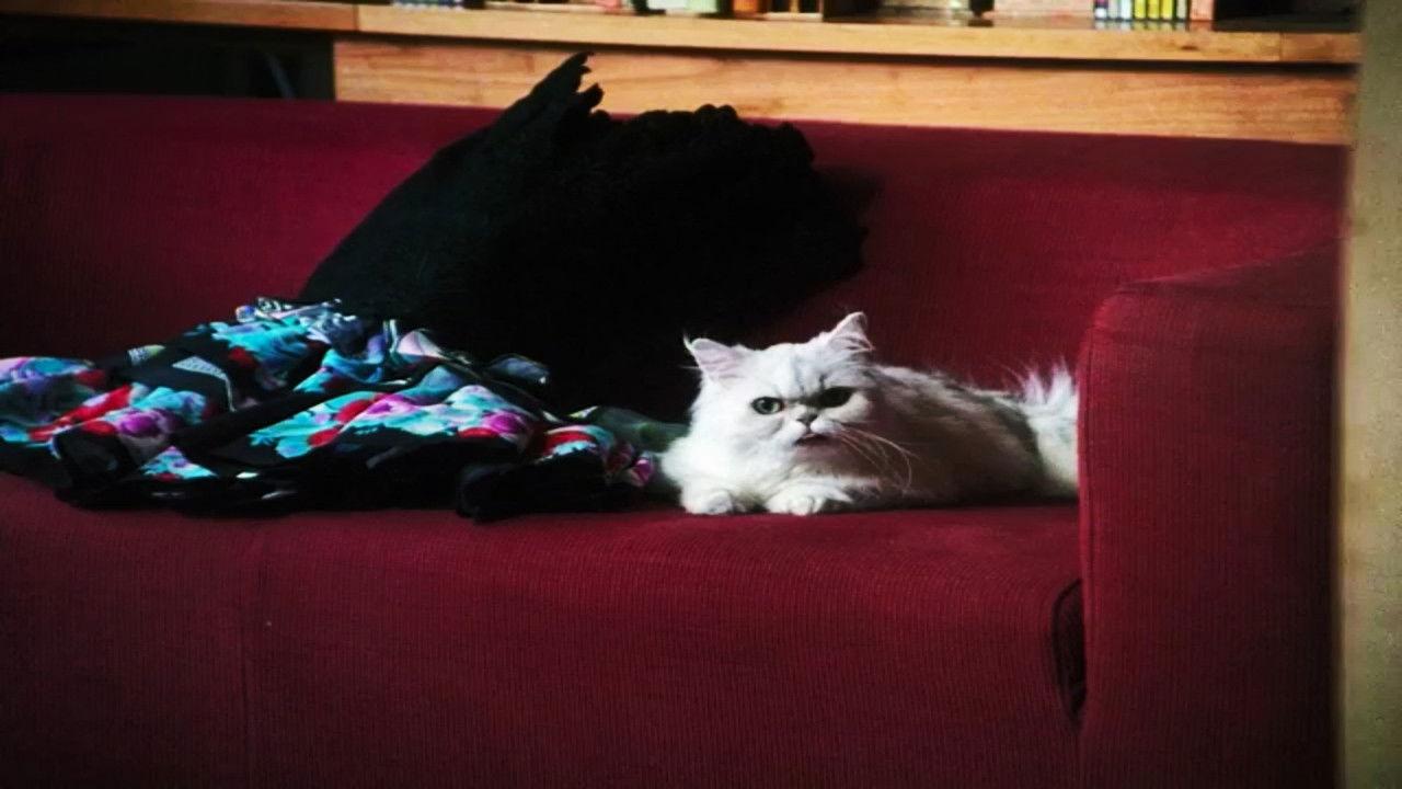 Private Crimes backdrop