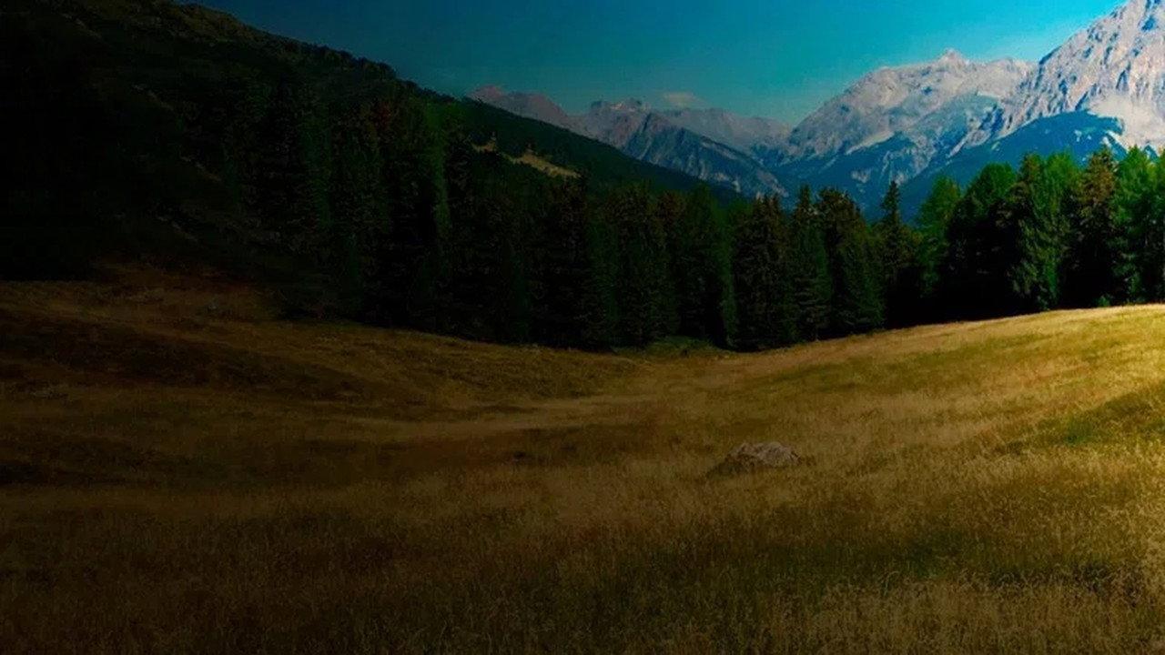 Le Doc du dimanche backdrop