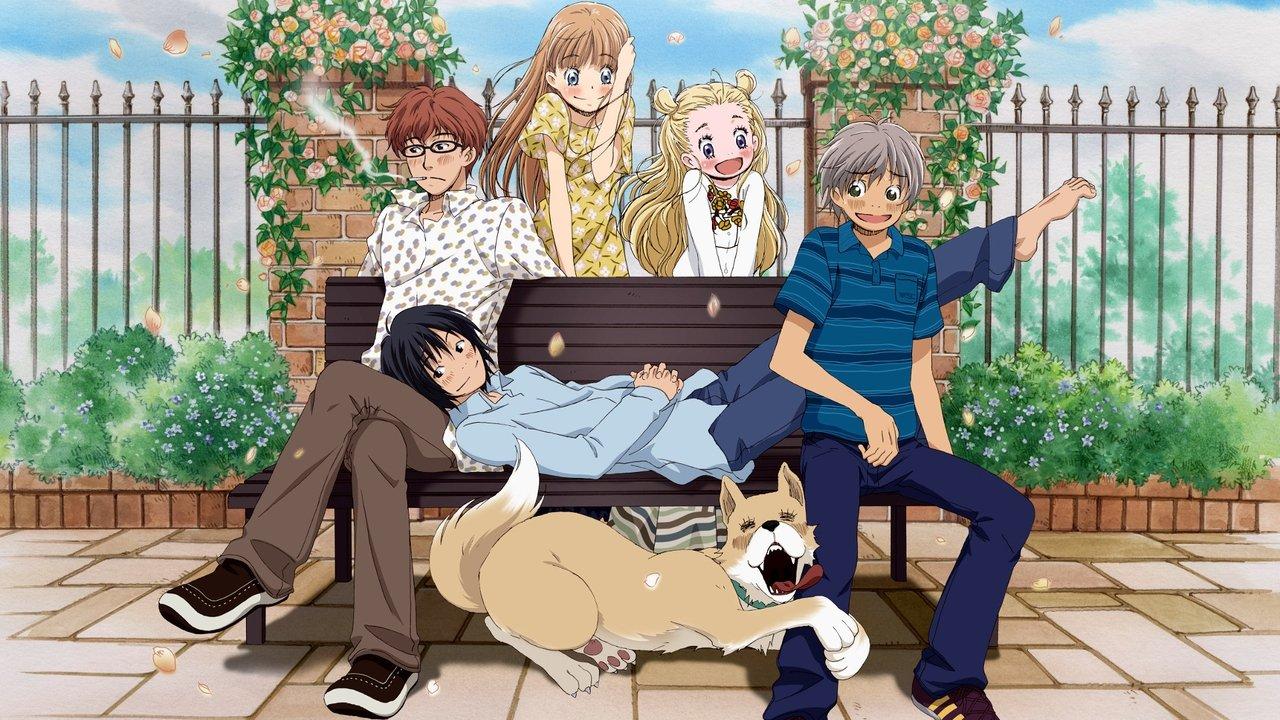 Honey and Clover backdrop