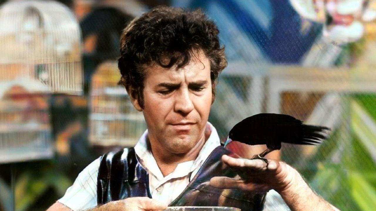 Saramandaia backdrop