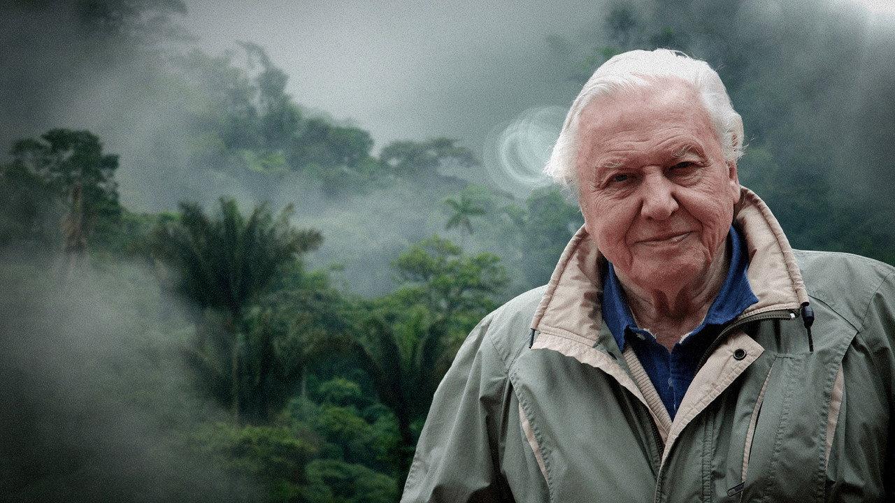 David Attenborough's Natural Curiosities backdrop