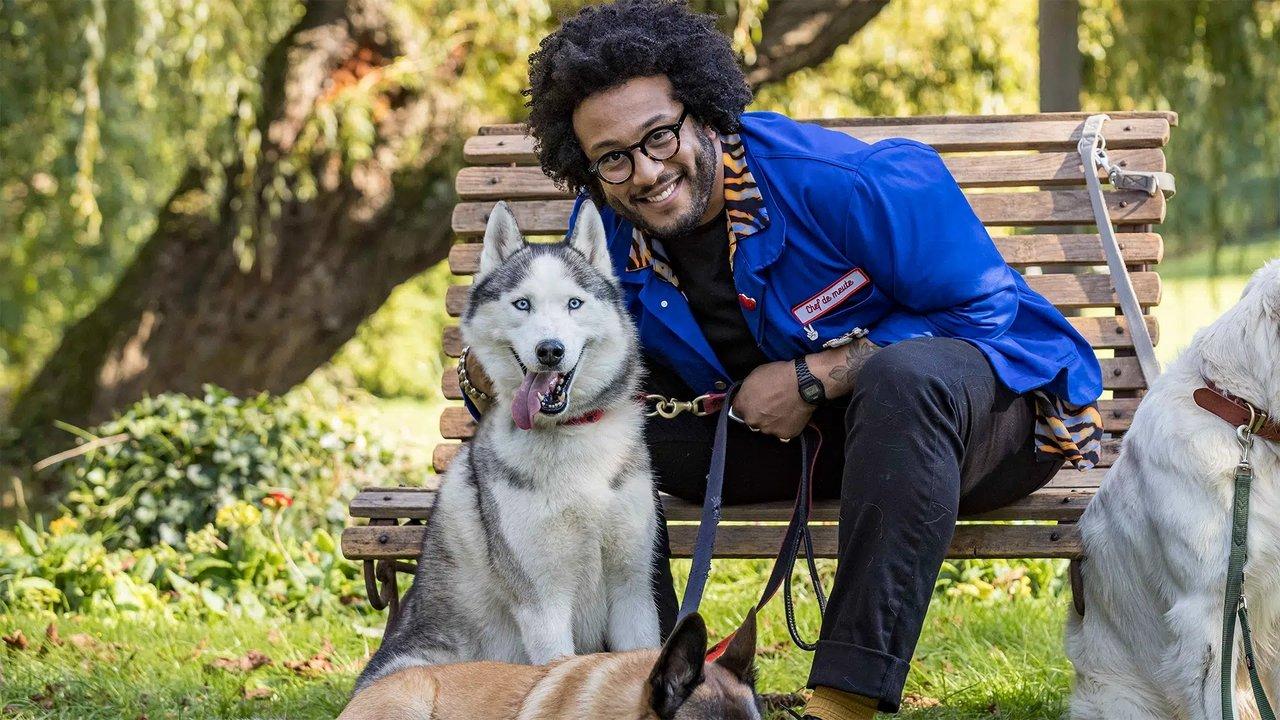 Dating with dogs : L'Amour, mon Chien et Moi backdrop