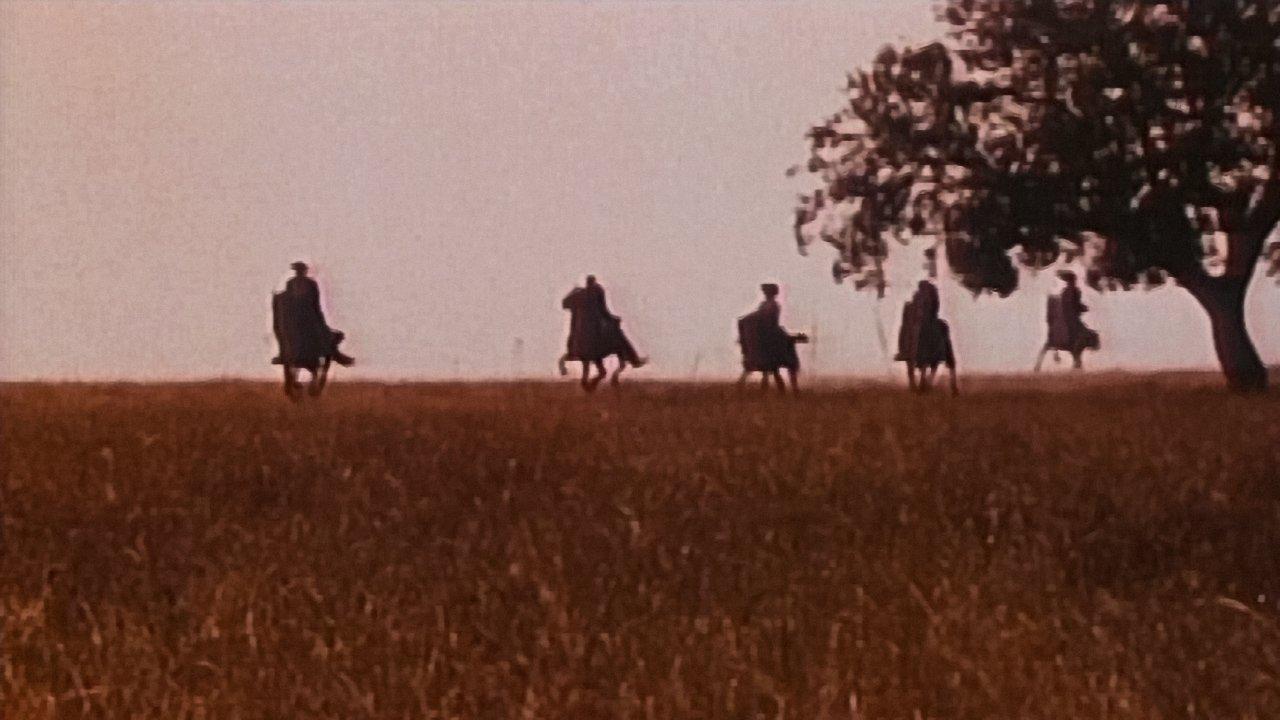 Alentejo Sem Lei backdrop