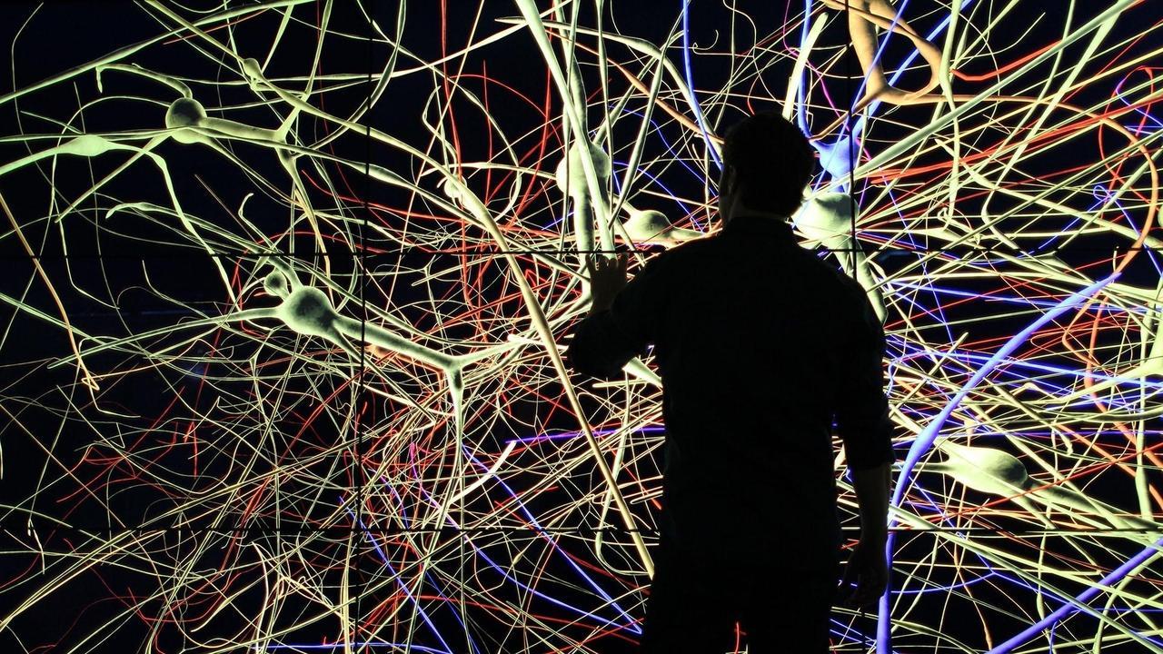The Brain with David Eagleman backdrop