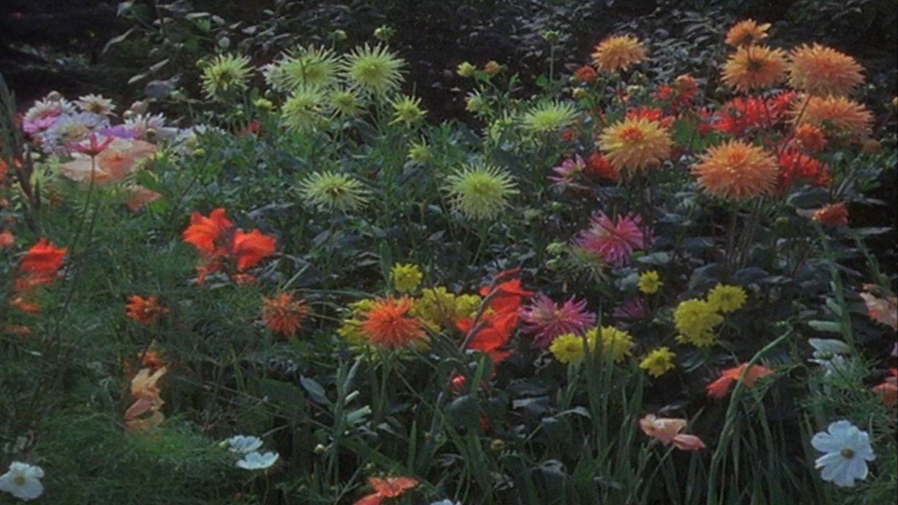 Geschichten übern Gartenzaun backdrop
