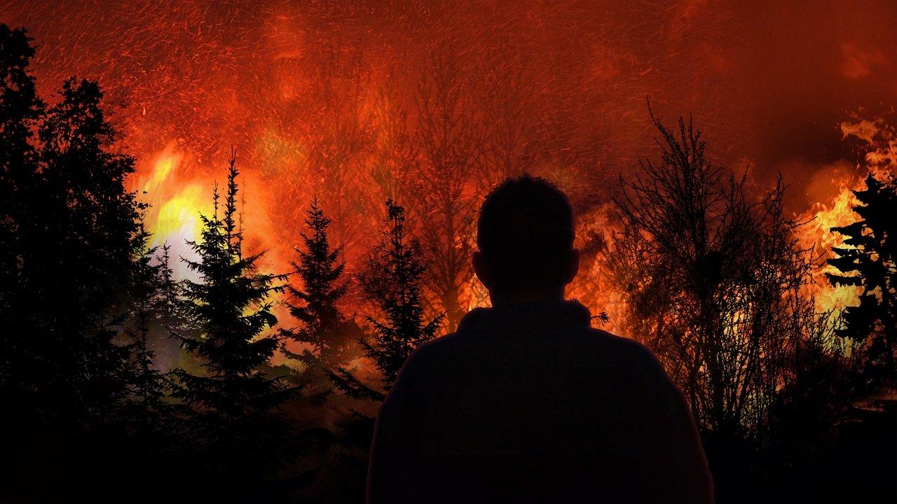 Witness to Disaster backdrop