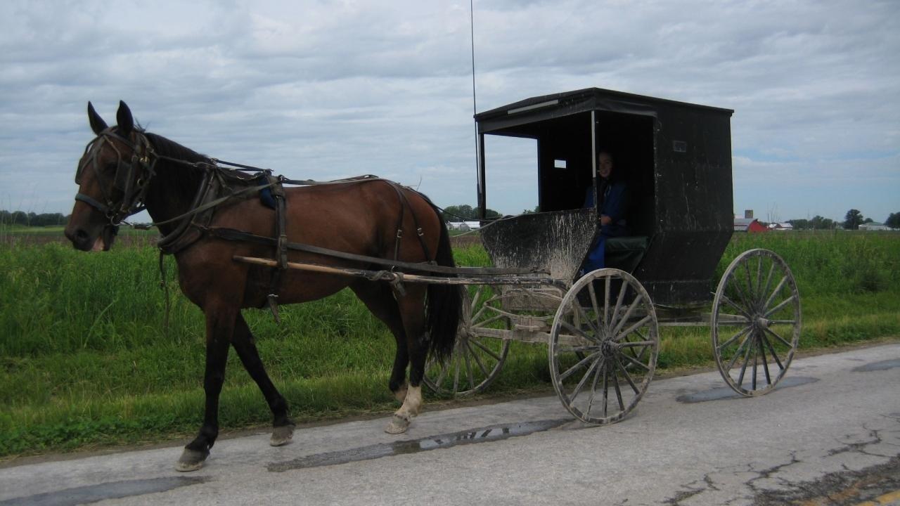 Amish: Out of Order backdrop