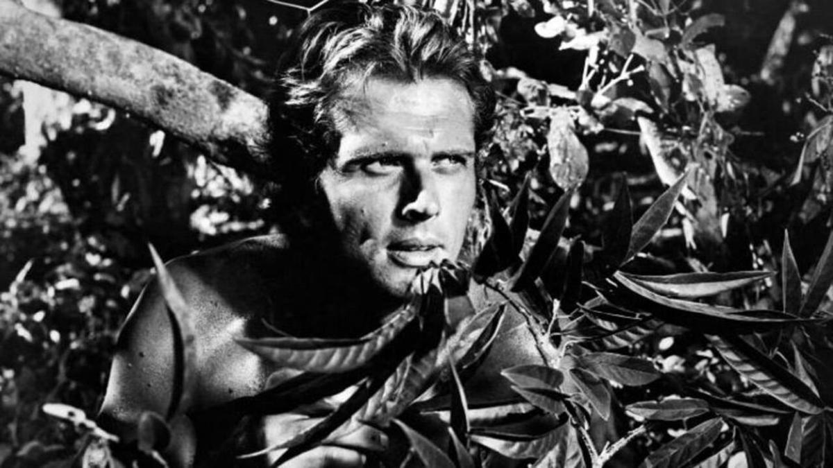 Tarzan backdrop