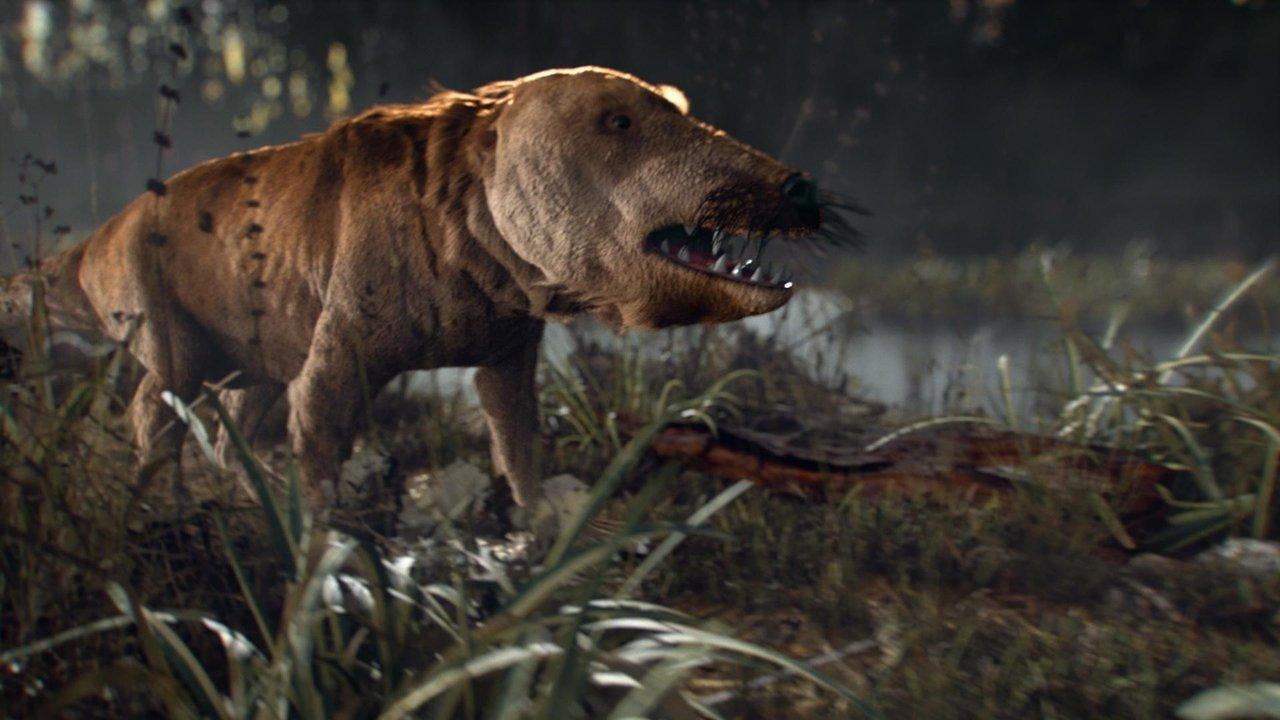 When Whales Walked: Journeys in Deep Time backdrop