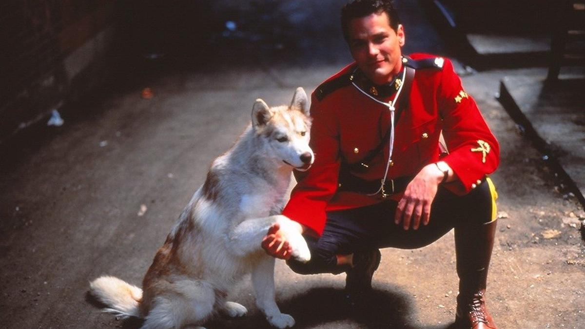 Due South backdrop
