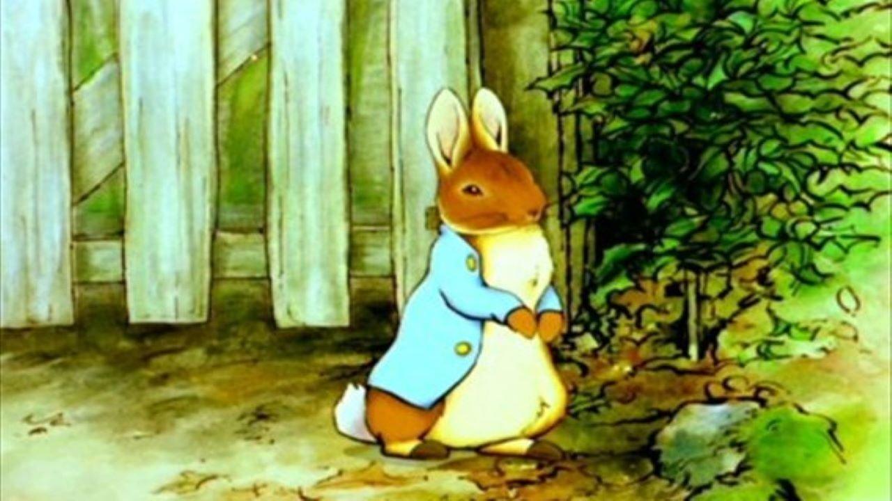 The World of Peter Rabbit and Friends backdrop