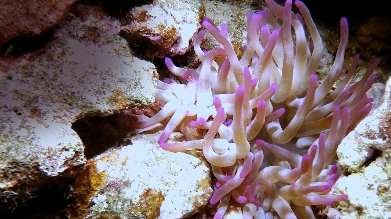 Scuba Sam's World backdrop