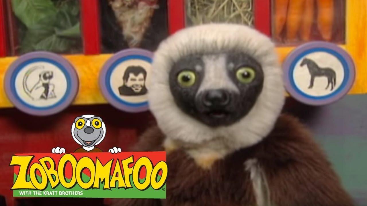Zoboomafoo backdrop