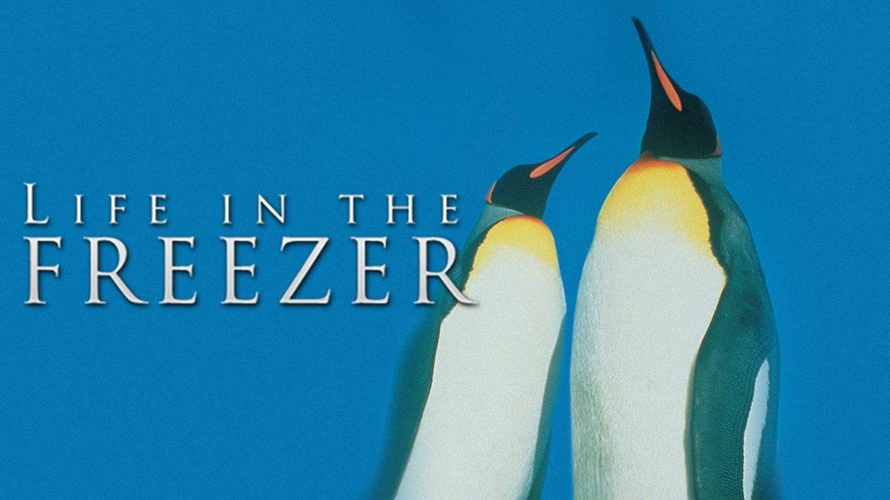Life in the Freezer backdrop