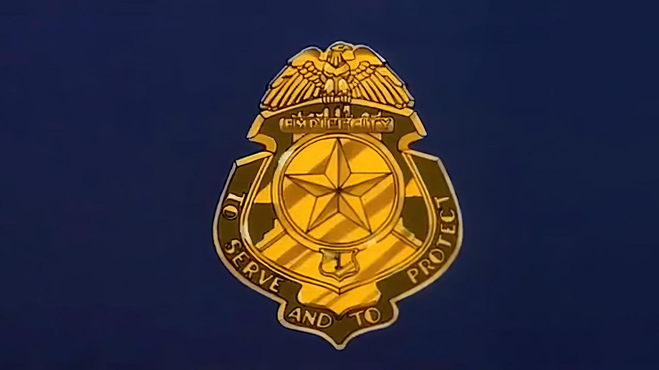 C.O.P.S. backdrop