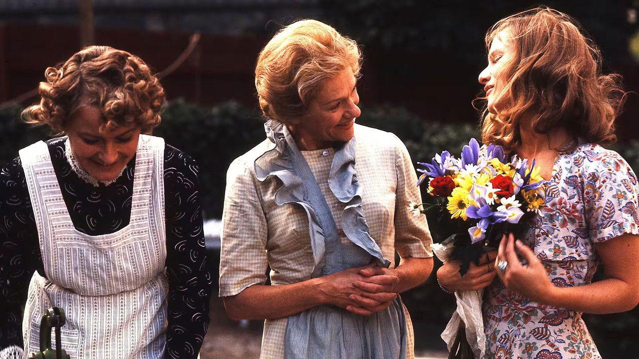 Söderkåkar backdrop