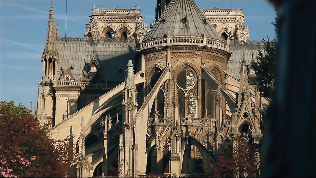Paris Revealed backdrop