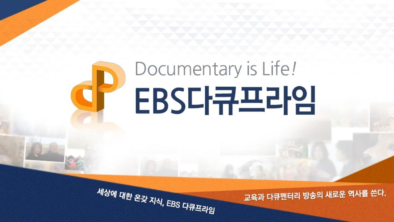 EBS 다큐프라임 backdrop