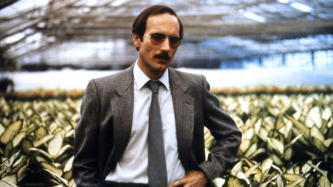 Las aventuras de Pepe Carvalho backdrop