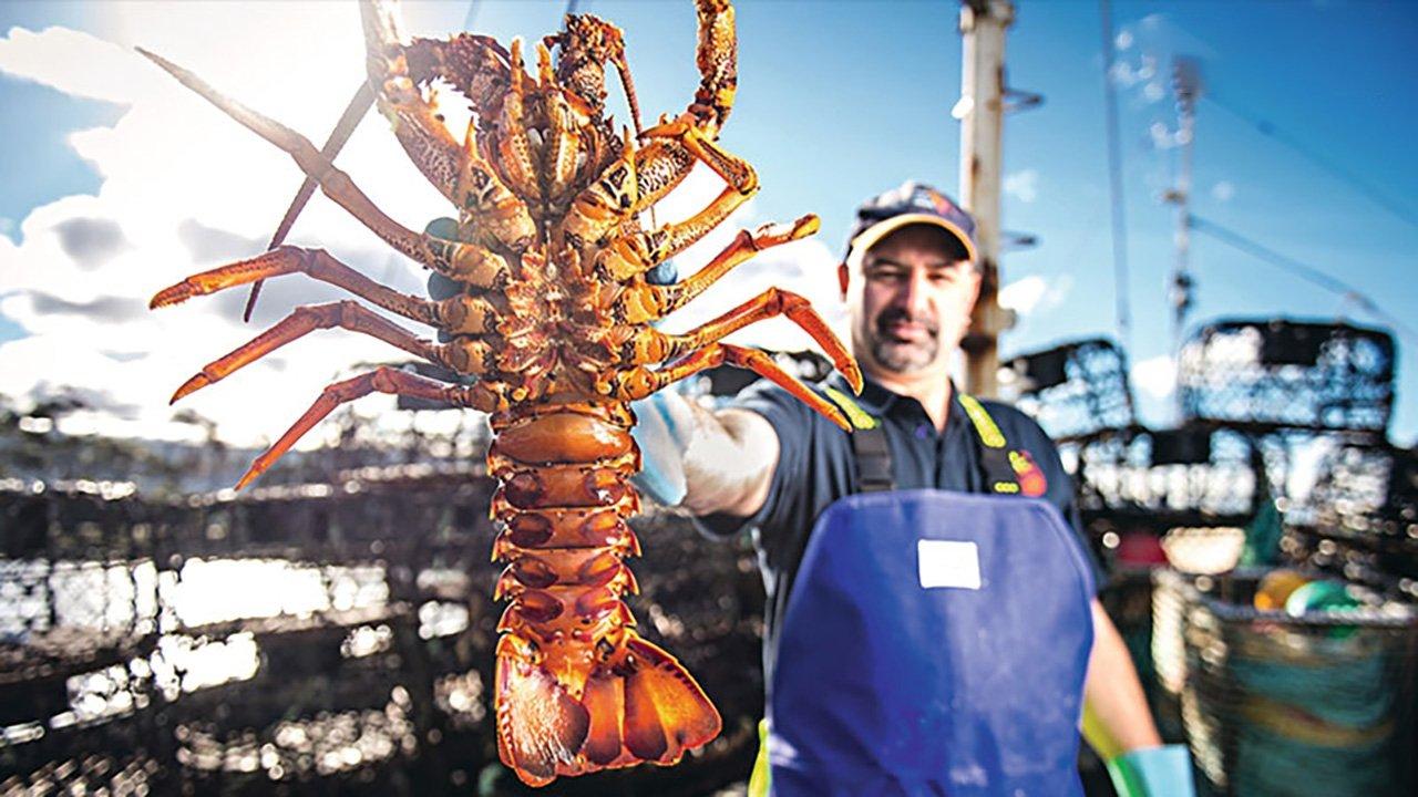 Aussie Lobster Men backdrop