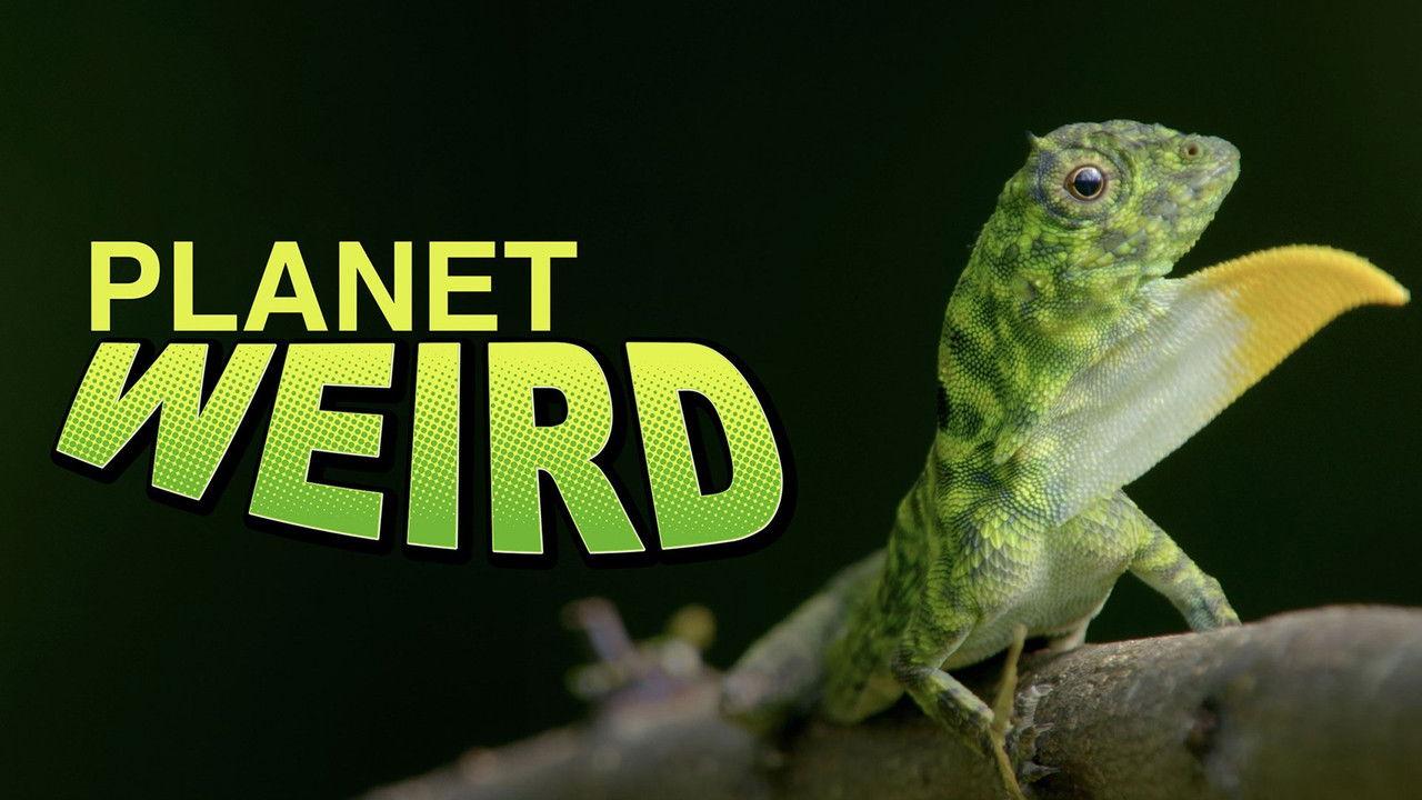 Planet Weird backdrop