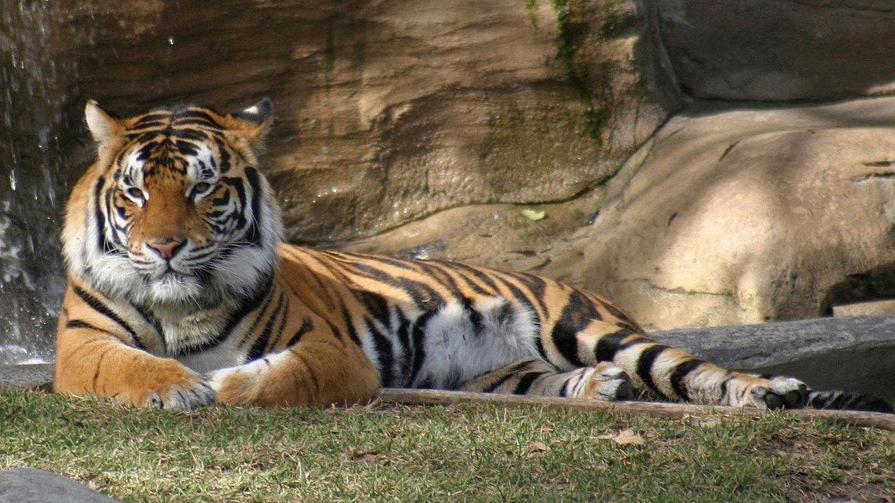 Built for the Kill backdrop