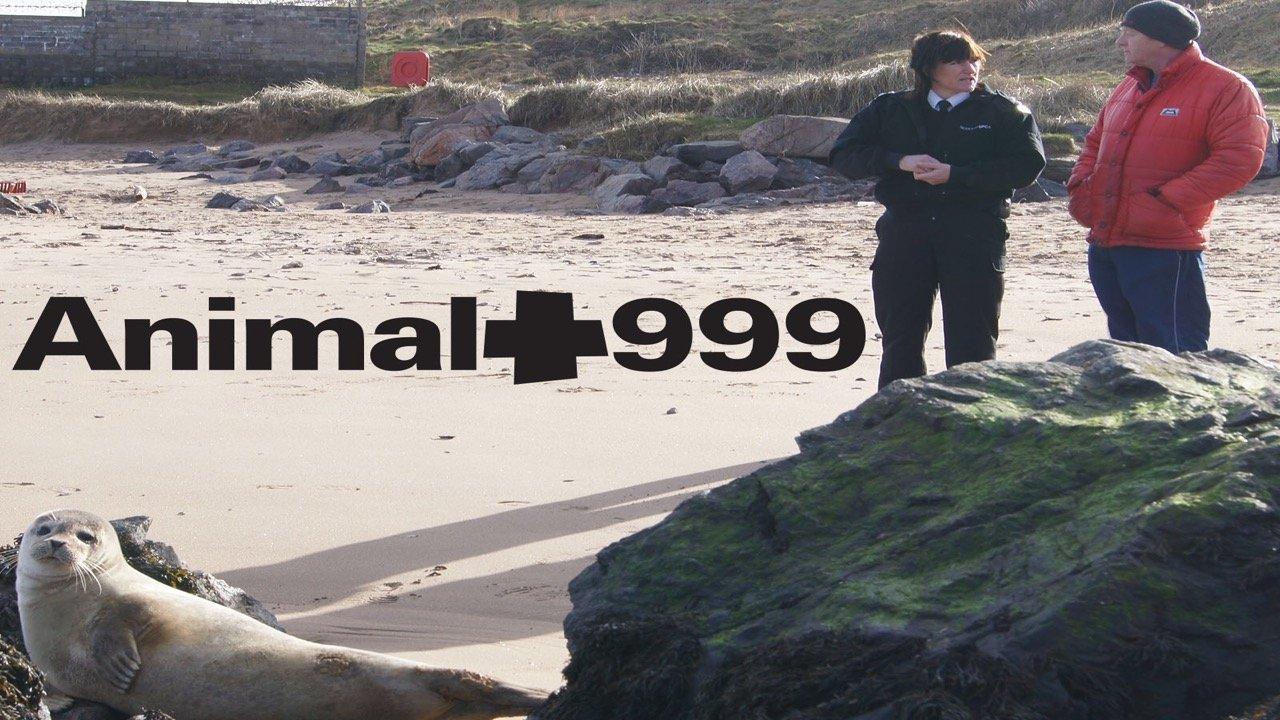 Animal 999 backdrop