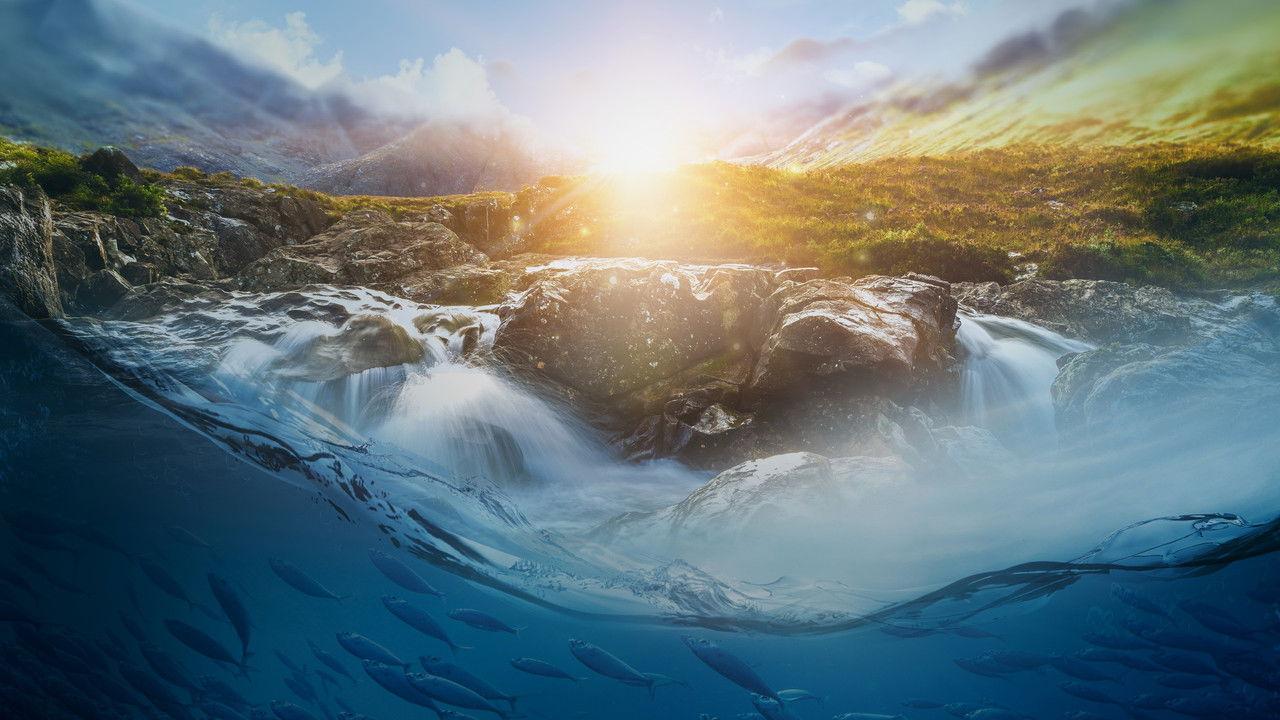 Secrets of the Enchanted Waters backdrop