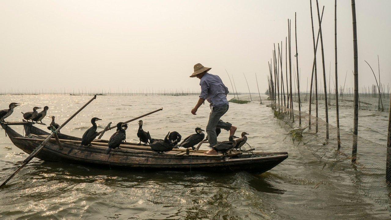 Along the Banks of the Yangtze backdrop