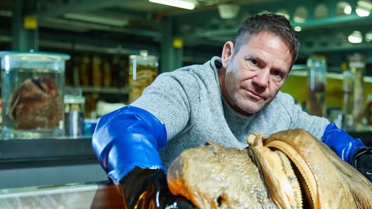 Shark with Steve Backshall backdrop