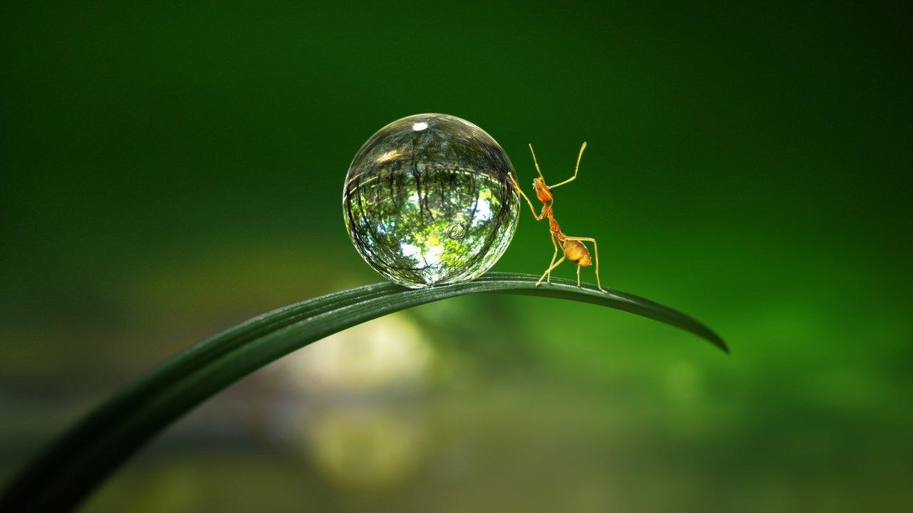 Tiny World backdrop