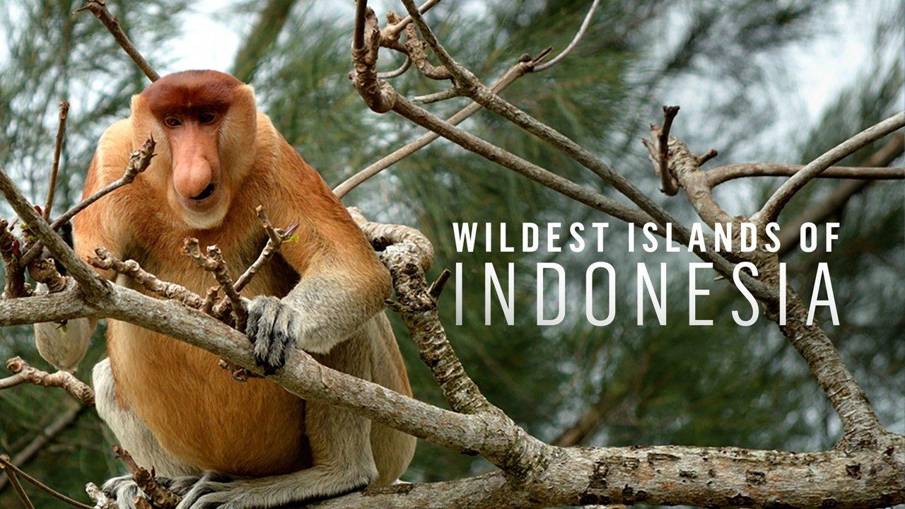 Wildest Islands of Indonesia backdrop